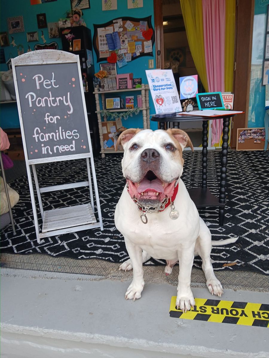 A white bulldog sitting beside the pantry's Pet Pantry for families in need sign