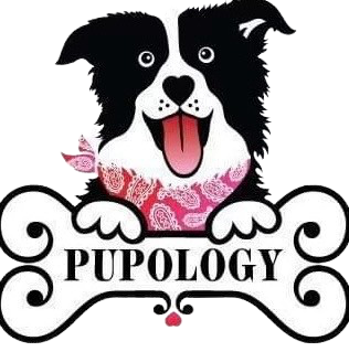 Pupology