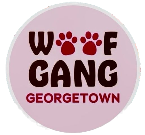 Woof Gang Georgetown