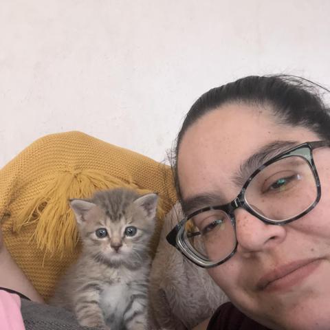 Furrbaby Food Pantry volunteer